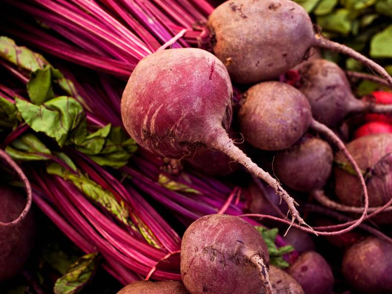 Freshly harvested beets with vibrant red roots and lush green tops display their deep purple color and healthy growth