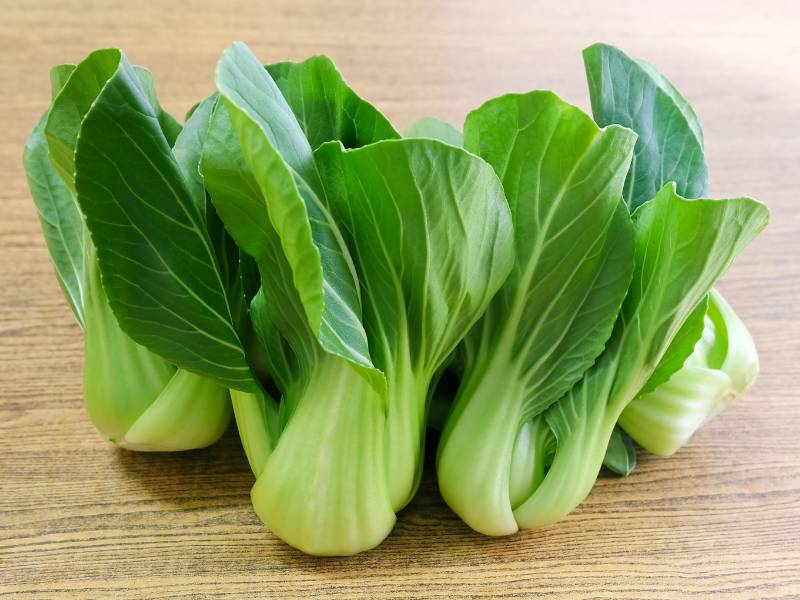 Freshly harvested bok choy plants with vibrant green leaves and crisp white stalks, arranged on a wooden surface