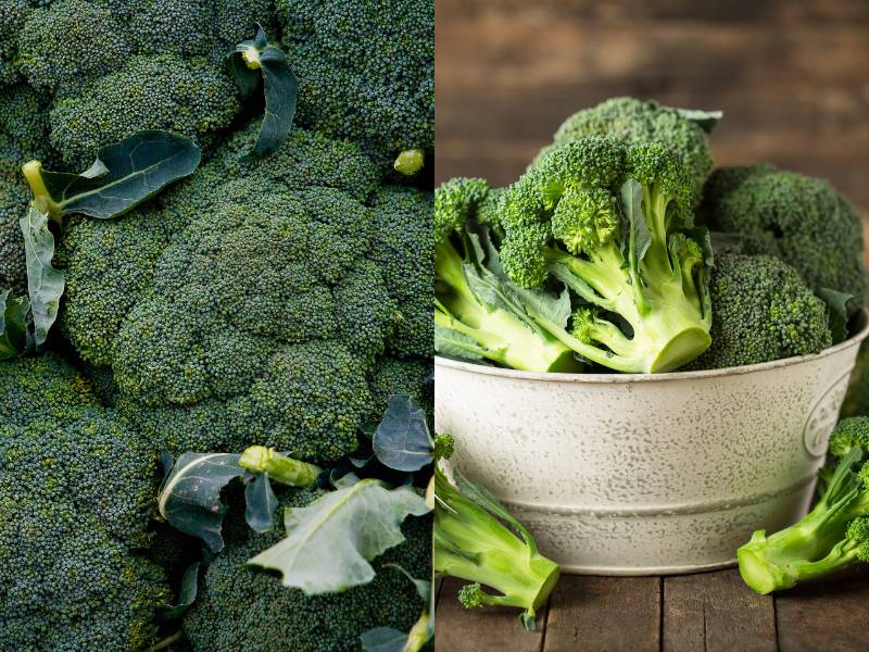 A close-up of broccoli heads with green leaves on the left and a bowl filled with fresh broccoli florets on the right