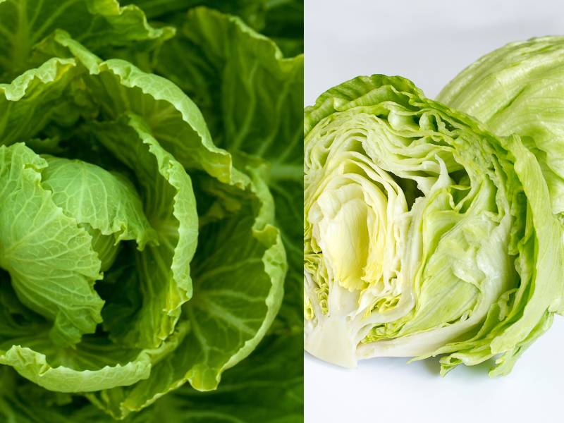 Close-up of a fresh green lettuce plant on the left and a halved lettuce head on the right, showing crisp inner layers.