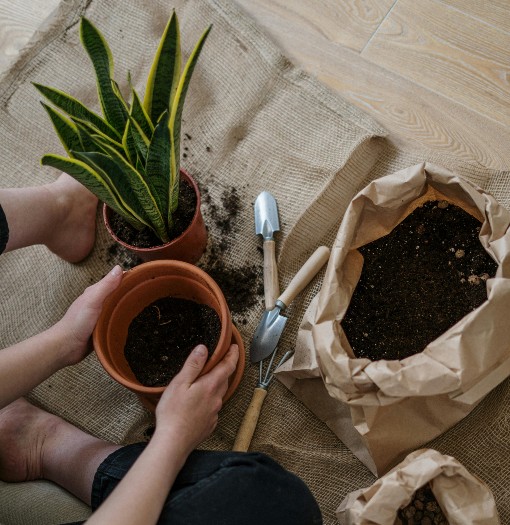 Person potting a plant with gardening tools and soil bags on a burlap surface, representing a personal gardening journey