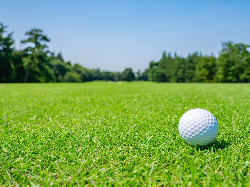 Golf ball on a well-maintained Bermuda grass Florida, illustrating the grass fine texture and suitability for golf courses