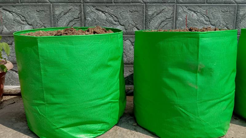 Fabric grow bags with soil, showcasing their superior drainage and aeration benefits, ideal for promoting healthy root growth.