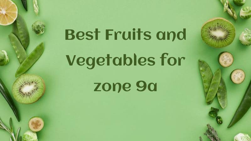 Best fruits and vegetables for Zone 9a, including kiwi, green beans, and various fresh greens on a vibrant green background