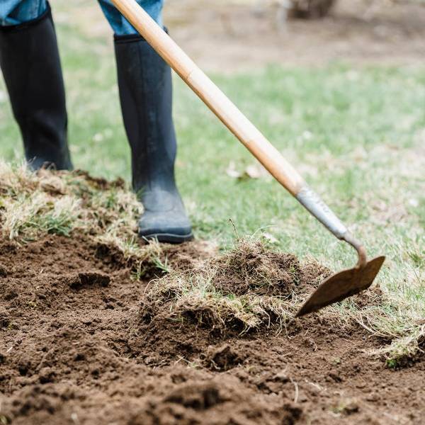 A person using a hoe to prepare sandy soil for grass planting, demonstrating the process of amending sandy soil with organic matter